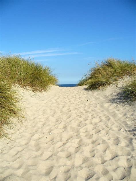 dune, vacations, beach, spiekeroog, east frisian island, east frisia ...