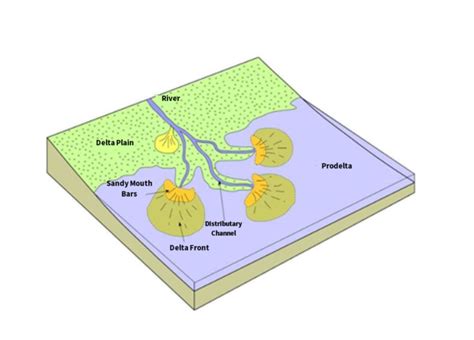 Anatomy of a Delta: The Foundation of New Land - Restore the ...