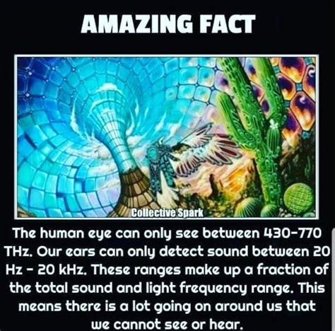 Perception | Cool science facts, Fun facts, Unbelievable facts