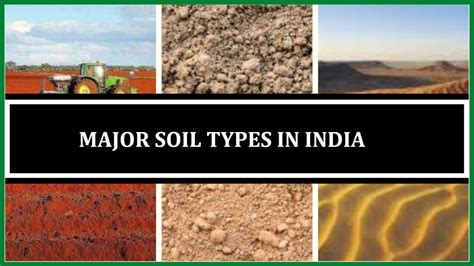 Major Soil Types in India | Alluvial, Black, Red, Laterite, Peaty ...