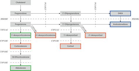 Frontiers | Challenges in treatment of patients with non-classic ...