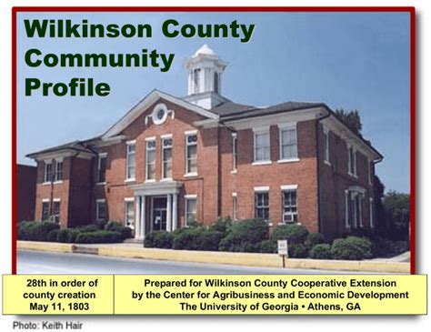 Wilkinson County Community Profile