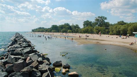 The top five beaches in Toronto to enjoy this summer | TRNTO.com