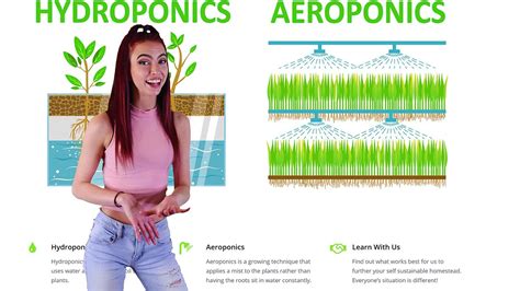 Aeroponics vs Hydroponics - Which is Better? - YouTube