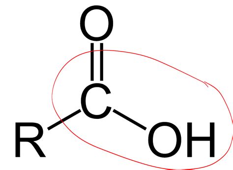 AGHS Level 3 Chemistry 2020: The Hydroxy Group