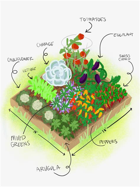 Vegging Out! Planning and Planting a Vegetable Garden - Tonkadale