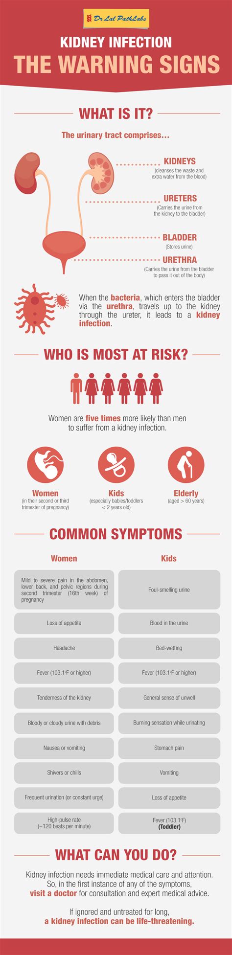 Kidney Infection the Warning Signs - Dr Lal PathLabs Blog