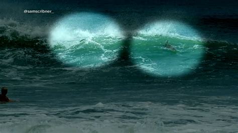 Shark attacks 2021: Surfer bitten by shark in Hurricane Larry surf in ...