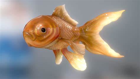 Gold Fish - Download Free 3D model by jimzorb [36e9e77] - Sketchfab