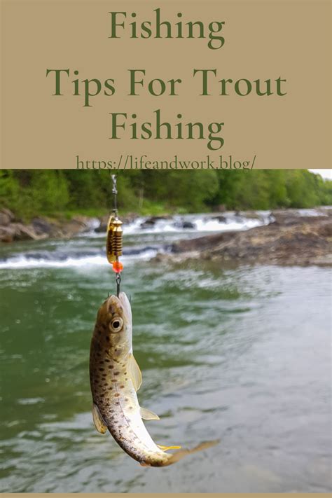 Tips For Trout Fishing