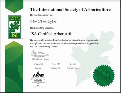 Certified Arborist - Mark's Tree Care