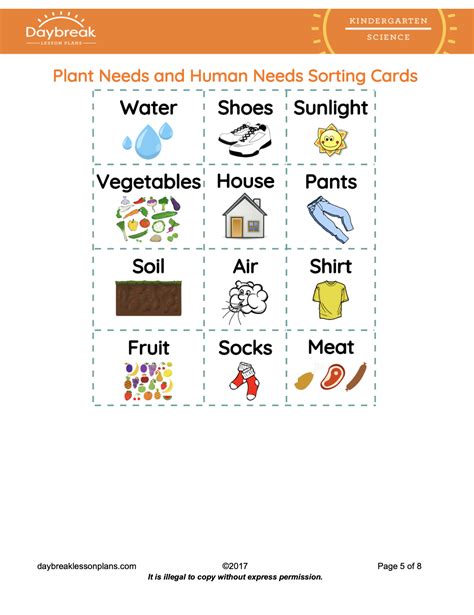 Life Science: "Plant Needs vs Human Needs" - Daybreak Lessons