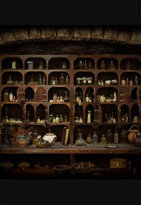 Witch's apothecary | Witch house, Apothecary, Witch cottage