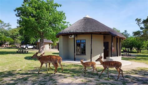 DISTINCTLY AFRICA MANYELETI CAMP - Lodge Reviews (South Africa ...