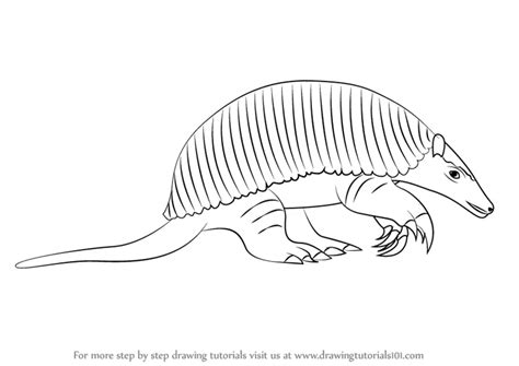 How to Draw a Giant armadillo (Other Animals) Step by Step ...