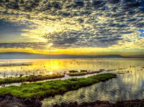 Lake Nakuru, Kenya by Mohamed Nasser. | Nakuru, Kenya, Lake