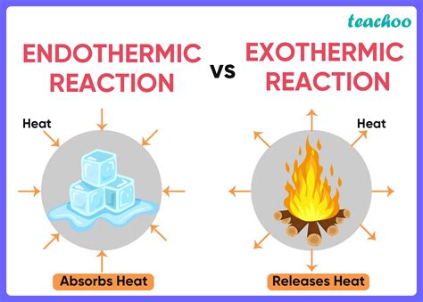 Give 2 Examples Of Exothermic Reactions