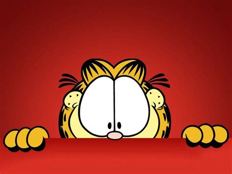 Funny Garfield Wallpapers