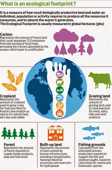 North-Grand HS Biology Blog: Your Ecological Footprint