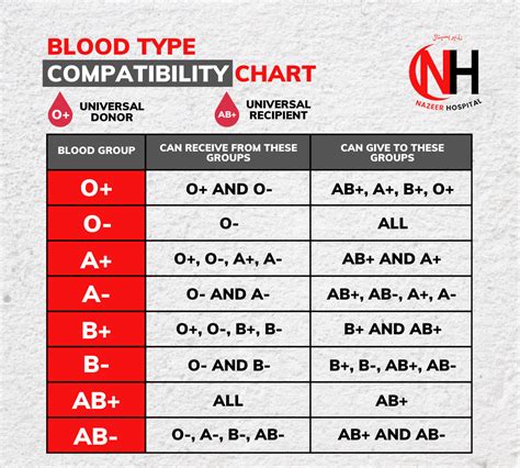 Blood Donation: What Food to Eat and How To Recover