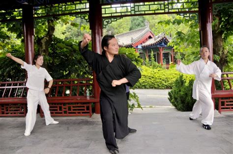 Master Zhou Xin Chen - Wudang Kung Fu School China