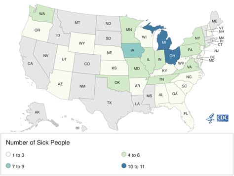 Salmonella outbreak traced to backyard poultry sickens more than 100 so ...