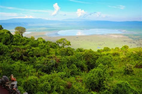 What To Expect On A Ngorongoro Crater Safari: Ultimate Guide