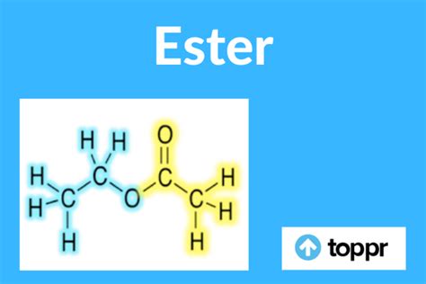 What is Ester: Definition, Nomenclature, Properties, Structure, Reactions