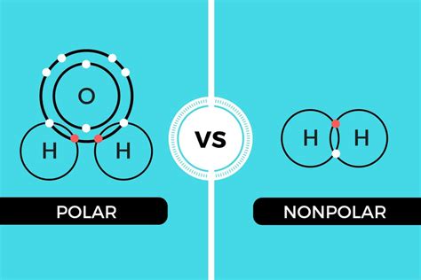 Polar vs Nonpolar - It's all about sharing, on an atomic level