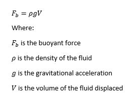 Formidable Expression For Buoyant Force Current Electricity Class 12 ...