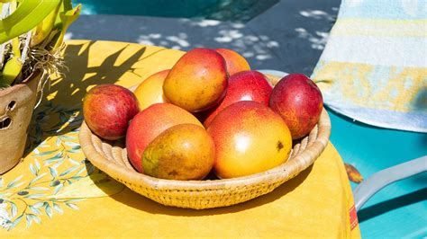 Outstanding Natural Mangos! – Telegraph