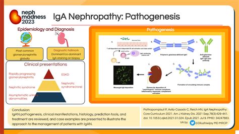 #NephMadness 2023: IgA Nephropathy Region – AJKD Blog