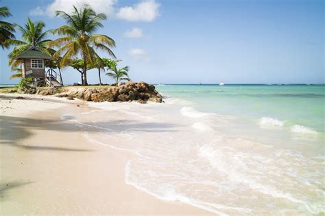 Why Pigeon Point, Tobago is one of the island’s best beaches