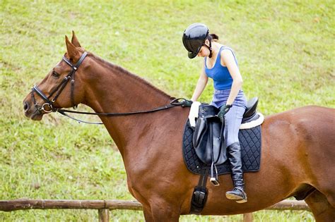 No Stirrups? No Problem!