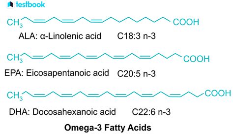 omega-3 Fatty Acid: Definition, Structure, Sources, Benefits, Uses ...