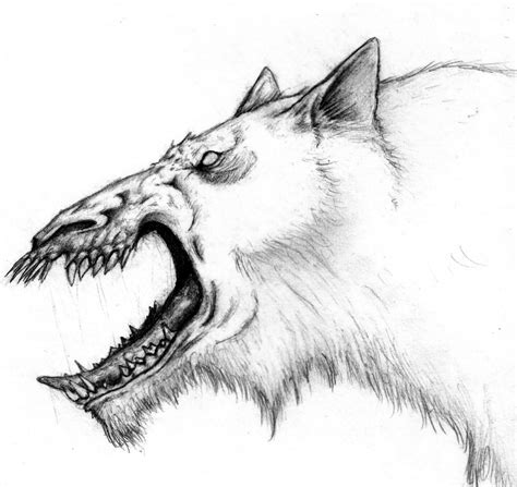 Demon Wolf Drawing