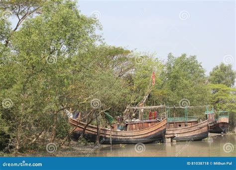 Natural Beauty of Bhola Island Stock Photo - Image of dhaka, mrghna ...