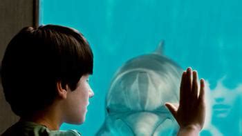 Dolphin Tale Movie Review | Common Sense Media