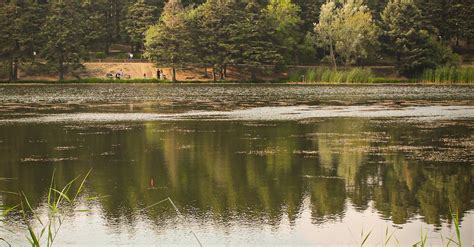 Angler Fishing From the River Bank · Free Stock Photo