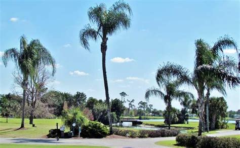 Maple Leaf Golf and Country Club Tee Times - Punta Gorda FL