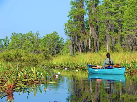 Protect the Okefenokee Swamp! - Georgia River Network