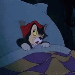 Sleeping Cat GIF - Sleeping Sleep Cat - Discover & Share GIFs