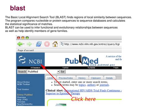 Basic Local Alignment Search Tool Blast - slideshare