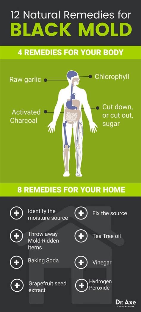 Interventions for symptoms from black mold exposure | Mold exposure ...