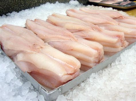 Haddock Fillets ( 1kg) [FROZEN] only £21.50 from The Berwick Shellfish ...