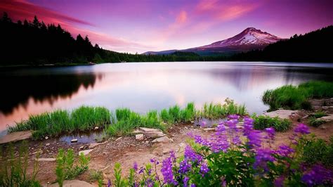 Beautiful Nature Wallpaper For Desktop 3d