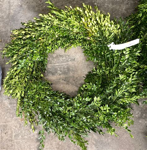 WREATH BOXWOOD 20IN - Cofer's Home & Garden