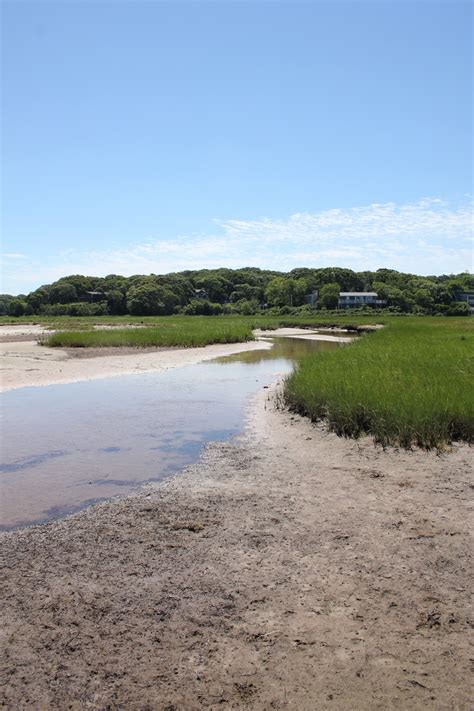 Salt Marsh Free Stock Photo - Public Domain Pictures