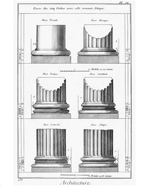 Print of ARCHITECTURE: COLUMNS. Diagram of various orders of classical ...