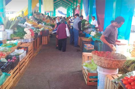 Tianguis: origen y tradiciones | Servicio de Información ...